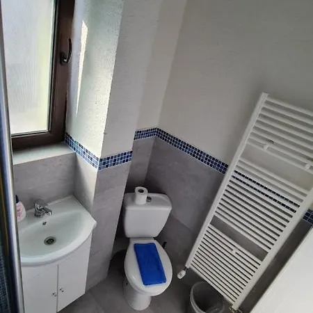 Apartmán Pomiculturii 5 - Spacious 1br With Balcony Temešvár