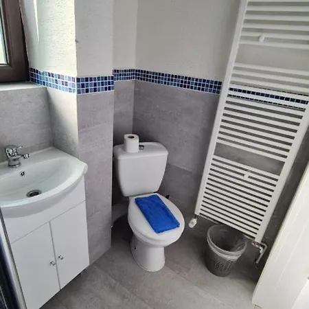 Pomiculturii 5 * Timişoara